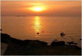 amara8.gif